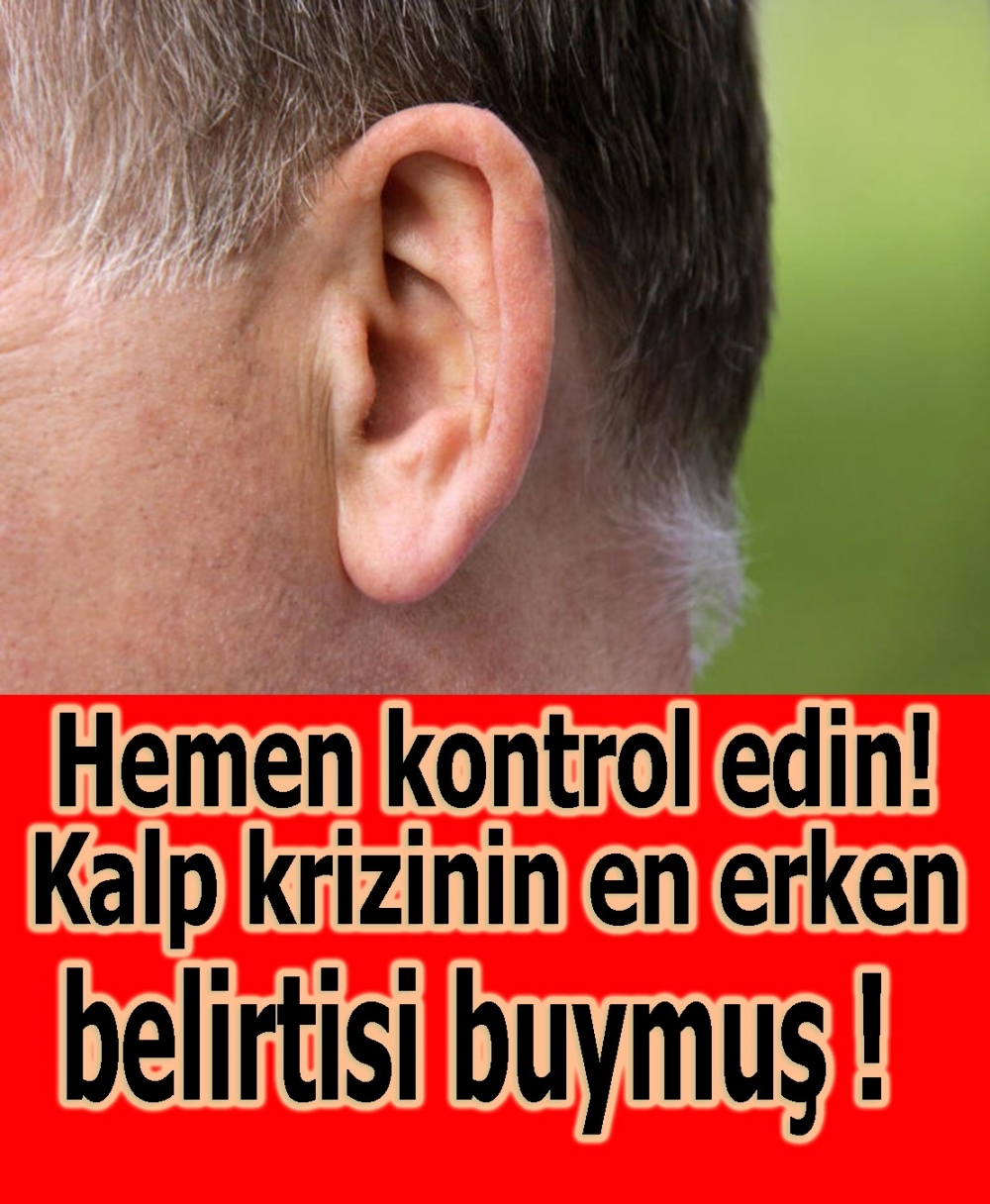 Hemen kontrol edin galerisi resim 1