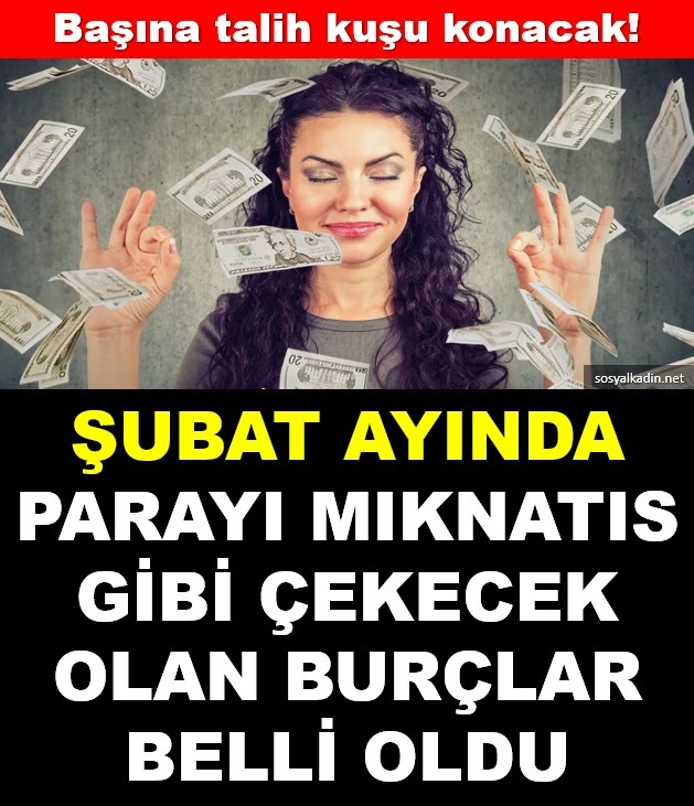 Şubat ayında galerisi resim 1