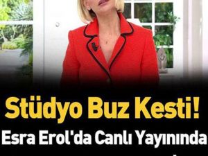 BUZZZ KESTİ