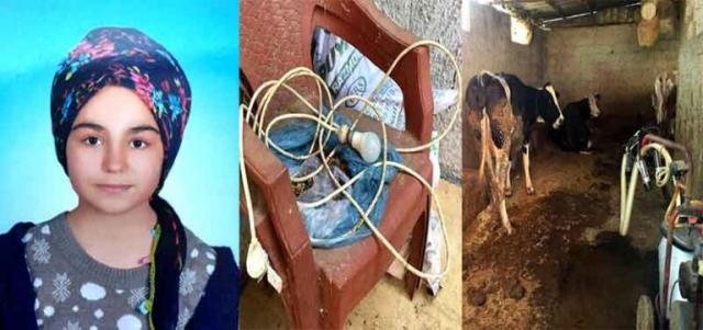 Adana Yüreğir’de Ceyran Etti galerisi resim 3