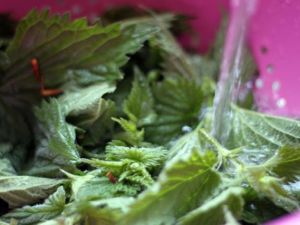 BU BİTKİLER NİKOTİNİ VÜCUTTAN TEMİZLİYOR..