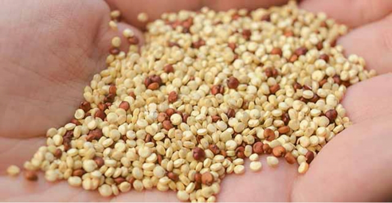 HER KADININ MUTLAKA TÜKETMESİ GEREKİYOR galerisi resim 2