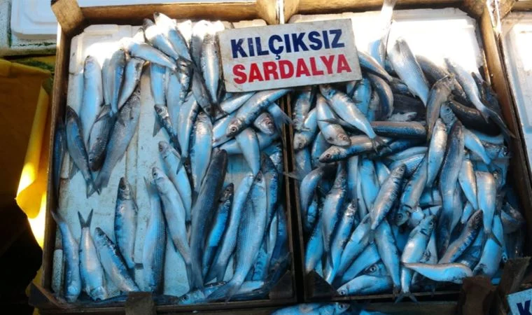 HER KADININ MUTLAKA TÜKETMESİ GEREKİYOR galerisi resim 4