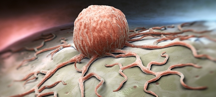 Bu Belirtiler Varsa Durmayın galerisi resim 2