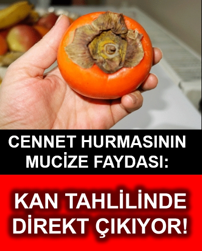 Cennet hurması galerisi resim 1