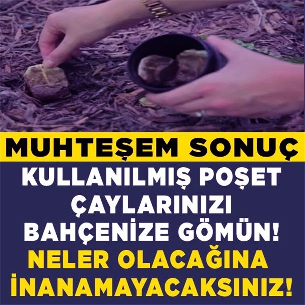 Muhteşemm sonuç galerisi resim 1