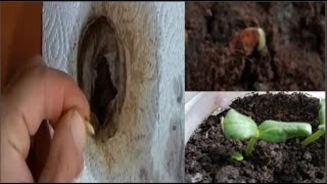 Muhteşemm sonuç galerisi resim 3