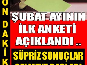 Şubat ayının ilk anketi açıklandı
