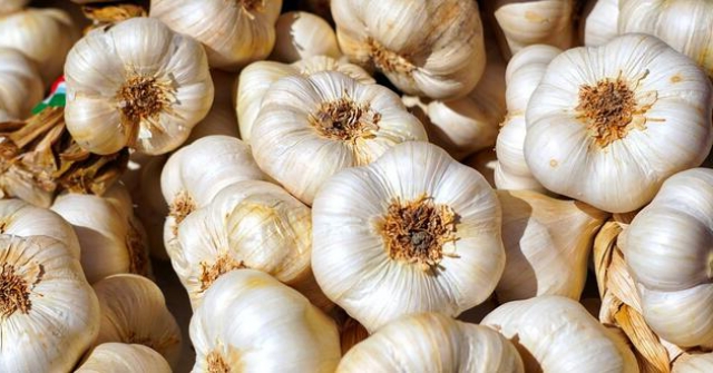 Geceleri tuvalete bir diş sarımsak koyun galerisi resim 3