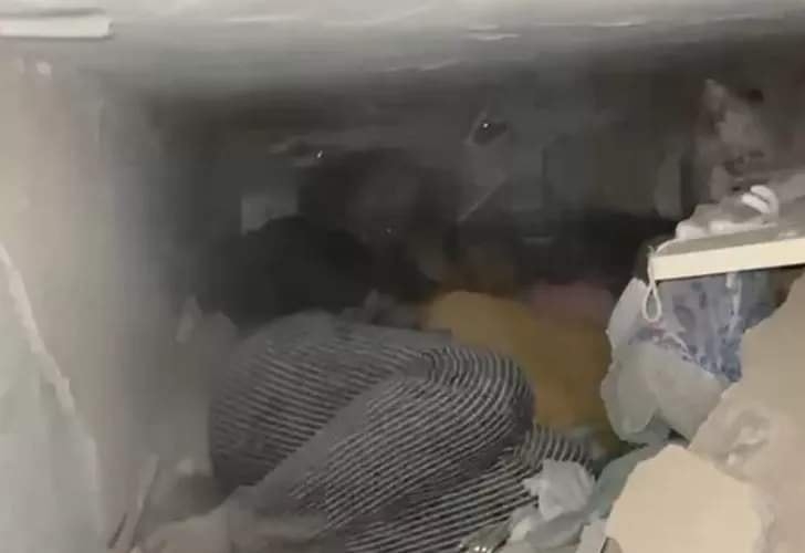 Annesi ve kızı oradaydı galerisi resim 1