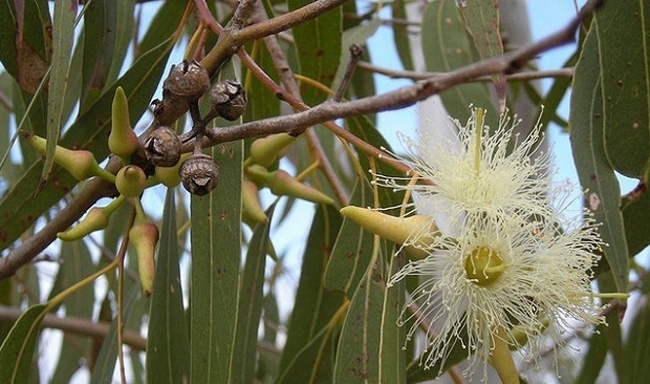 Akciğerleriniz için bunu yapın galerisi resim 8