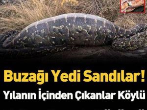 Karnından çıkanlar