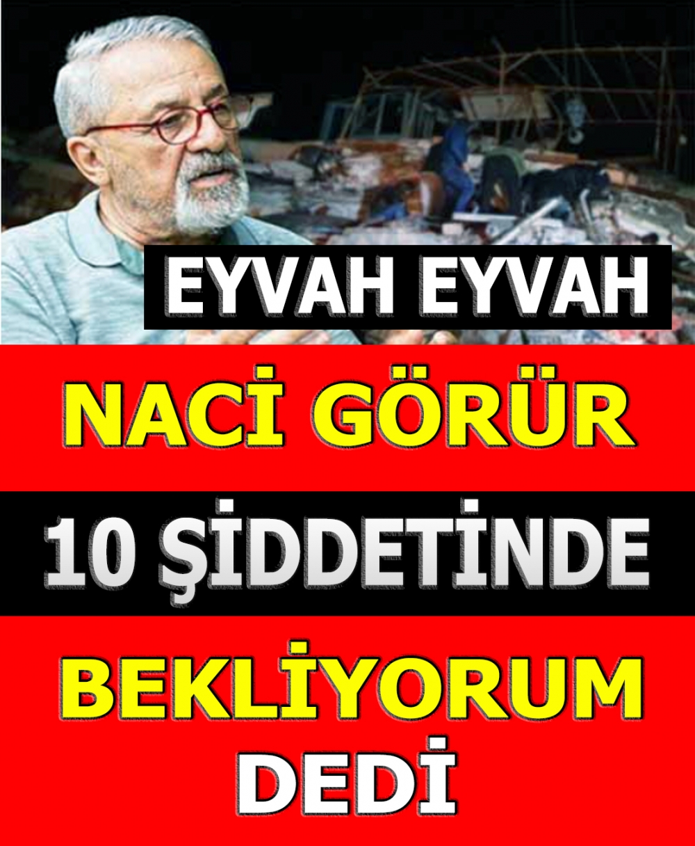 Yer bilimci Prof. Dr. Naci Görür galerisi resim 1