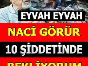 Yer bilimci Prof. Dr. Naci Görür