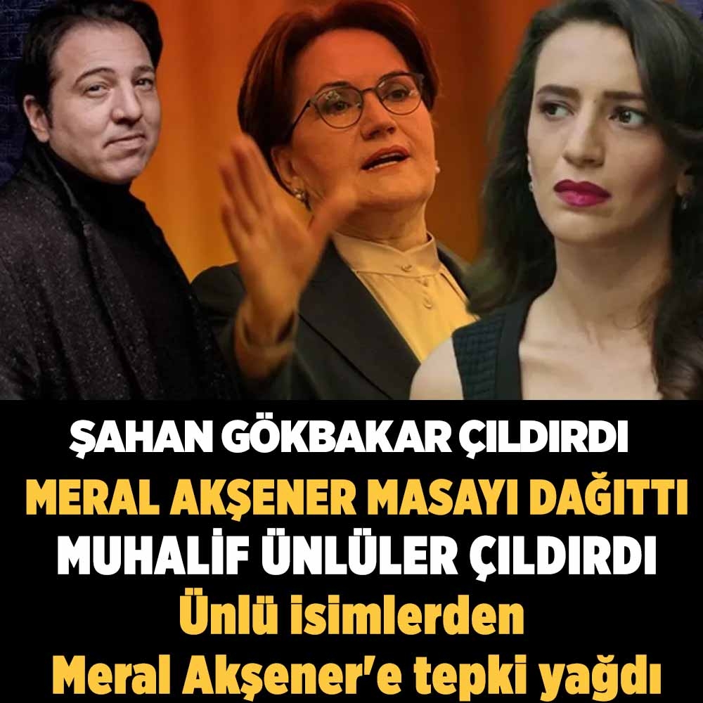 Ünlü isimlerden Meral Akşener’e tepki yağdı! ‘ galerisi resim 1