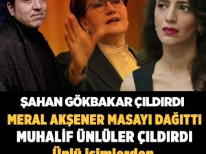 Ünlü isimlerden Meral Akşener’e tepki yağdı! ‘