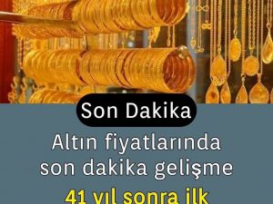 Uzman ekonomist altın zirveye ilerliyor