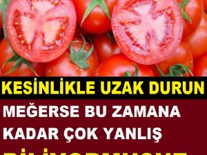 Domatesin bütün faydasını yok ediyor Bu alışkanlıktan vazgeçin