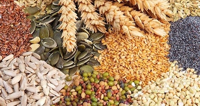 Kırk Yaşından Sonrası İçin Harika galerisi resim 4