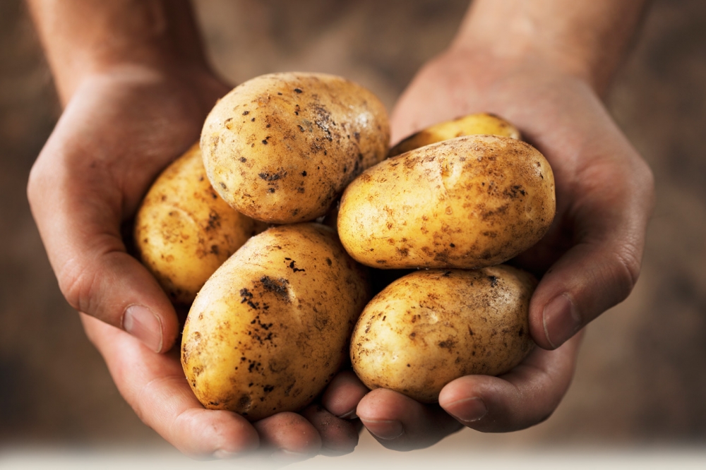 Patates Sandığımız Kadar Sağlıklı Mı? galerisi resim 3