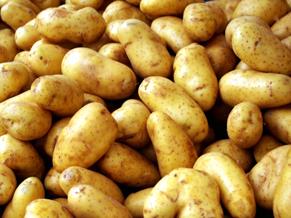 Patates Sandığımız Kadar Sağlıklı Mı? galerisi resim 4
