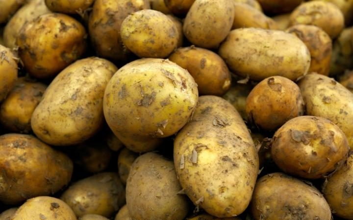 Patates Sandığımız Kadar Sağlıklı Mı? galerisi resim 5