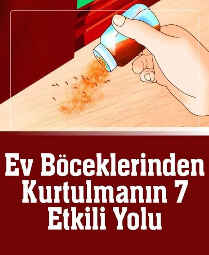 EVDEKİ BÖCEKLERDEN KURTULMANIN DOĞAL YOLU... galerisi resim 1