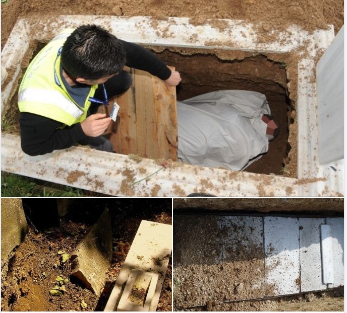 Neden tahta koyulur? galerisi resim 1