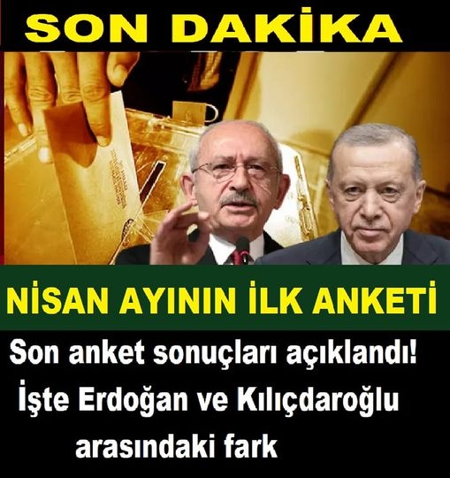Son anket sonuçları açıklandı galerisi resim 1