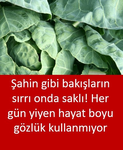 Şahin gibi bakışların sırrı onda galerisi resim 1