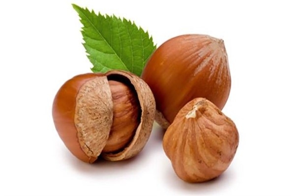 Fındık Kabuğundaki Sır galerisi resim 2