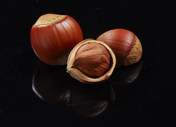 Fındık Kabuğundaki Sır galerisi resim 5