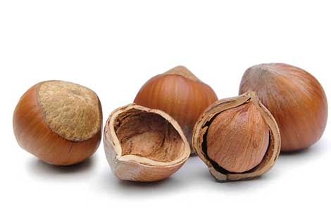 Fındık Kabuğundaki Sır galerisi resim 7