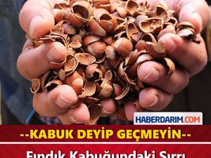 Fındık Kabuğundaki Sır