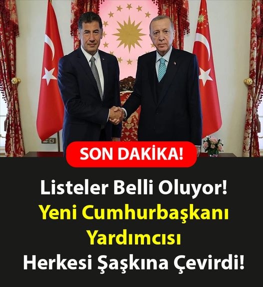 Cumhurbaşkanı Yardımcısı Cumhurbaşkanı Yardımcısı kim olacak? galerisi resim 1