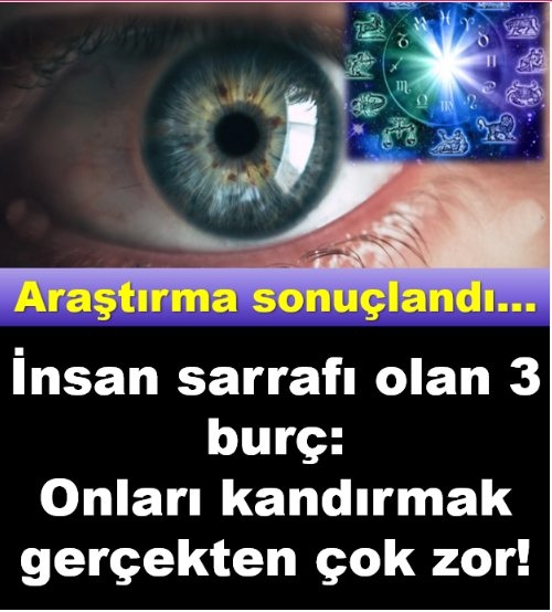 İnsan Sarrafı 3 Burç galerisi resim 1