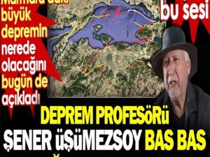 Profesör Şener Üşümezsoy bas bas bağırmaya başladı