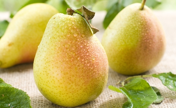 Bu Besinler Sayesinde İstediğiniz Kiloyu Vereceksiniz galerisi resim 6