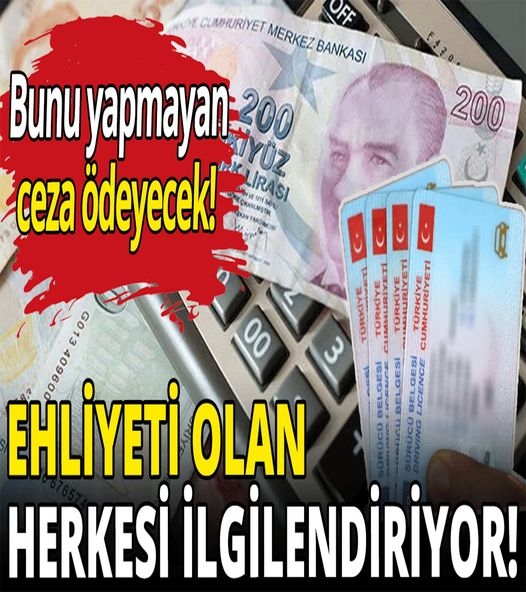Ehliyeti Olanların Yapması Gerekiyor galerisi resim 1