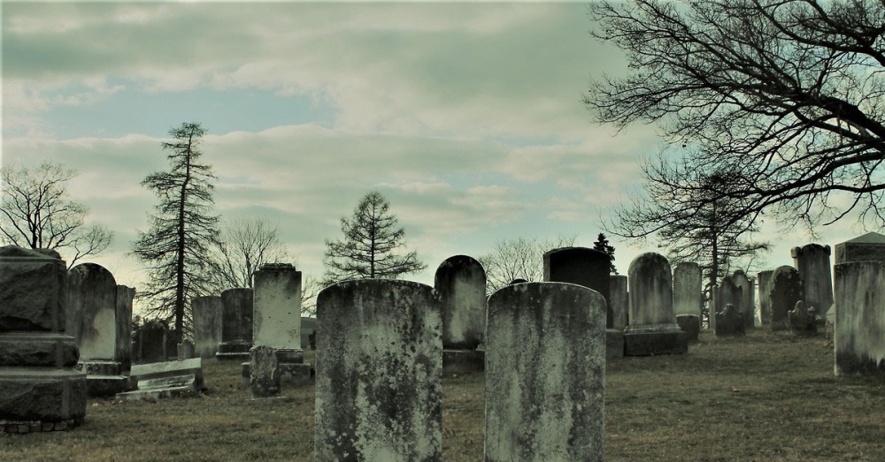 Akıllara durgunluk verir galerisi resim 10