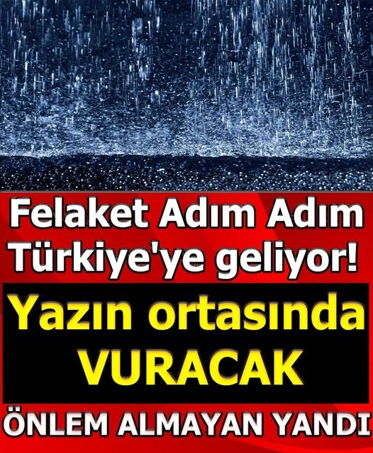 Yazın Ortasında Vuracak galerisi resim 1