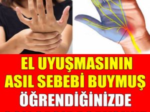 El Uyuşmasının Asıl Sebebii Buymuş..