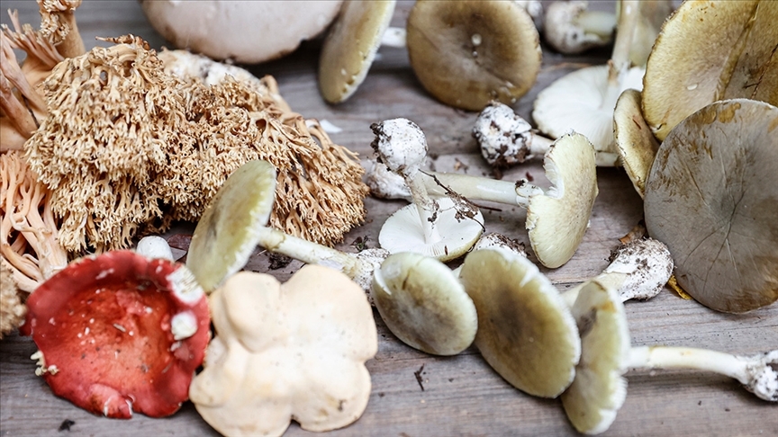 Bakan Koca Uyardı: Yemeyin galerisi resim 2