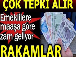 Bu Rakamlar Çok Konuşulur