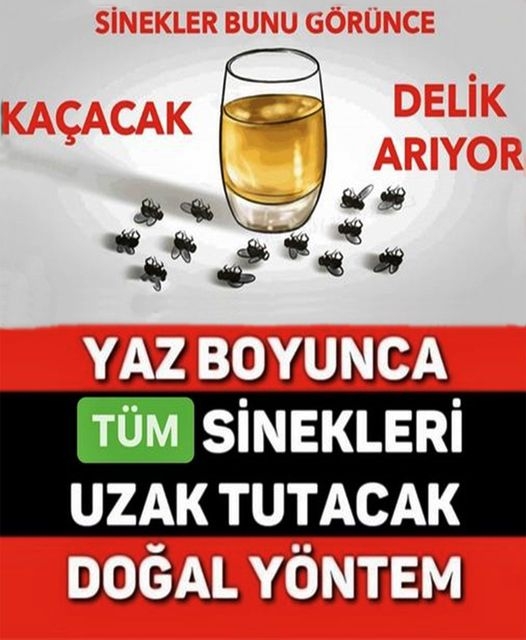 Sineklerden Tamamen Kurtulun galerisi resim 1