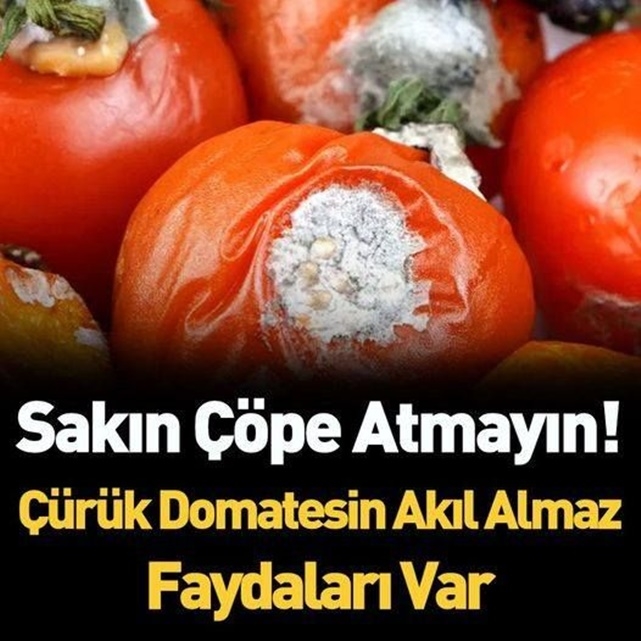 Çürüdüğü için çöpe attığınız domateslerin mucizevi faydaları var. galerisi resim 1