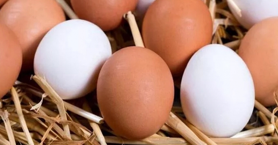 Canan Karatay galerisi resim 6