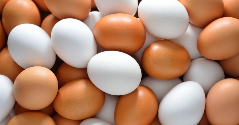 Canan Karatay galerisi resim 9