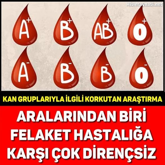 KAN GRUPLARIYLA İLGİLİ KORKUTAN ARAŞTIRMA! galerisi resim 1