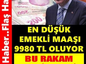 Yeni Emekli Maaşları İle İlgili Açıklama Geldi..